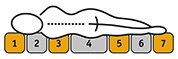 Logo_7Zonen_Stuetzsytem